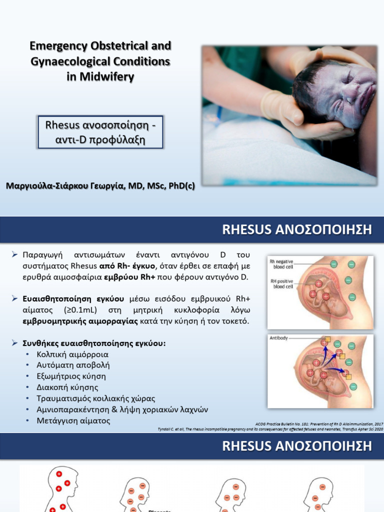 Rhesus | PDF
