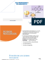 SESION 13-Acidos nucleicos