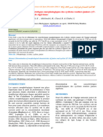 Détermination Des Caractéristiques Morphologiques Des Cyclistes Routiers Juniors (17 18 Ans) de L'équipe Nationale Algérienne