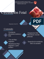 Circulacion Fetal