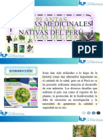 Plantas Medicinales Nativas Peruanas