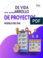 Tipos de Abordaje para Gestionar Proyectos