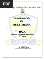 Multimedia