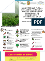 Wepik Conservacion de La Biodiversidad Floral en Las Lomas de Lima Peru Importancia y Estrategias de Pre 20240323212033LMyc