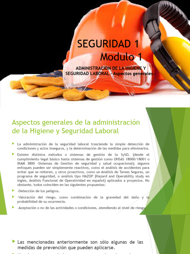 Higiene y Seguridad Laboral | PDF | Seguridad y salud ocupacional | Riesgo