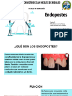 Endo Post Ess