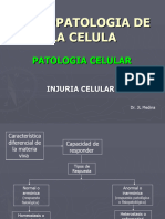 Injuria Celular. Fono 2021 (Dr. Medina)