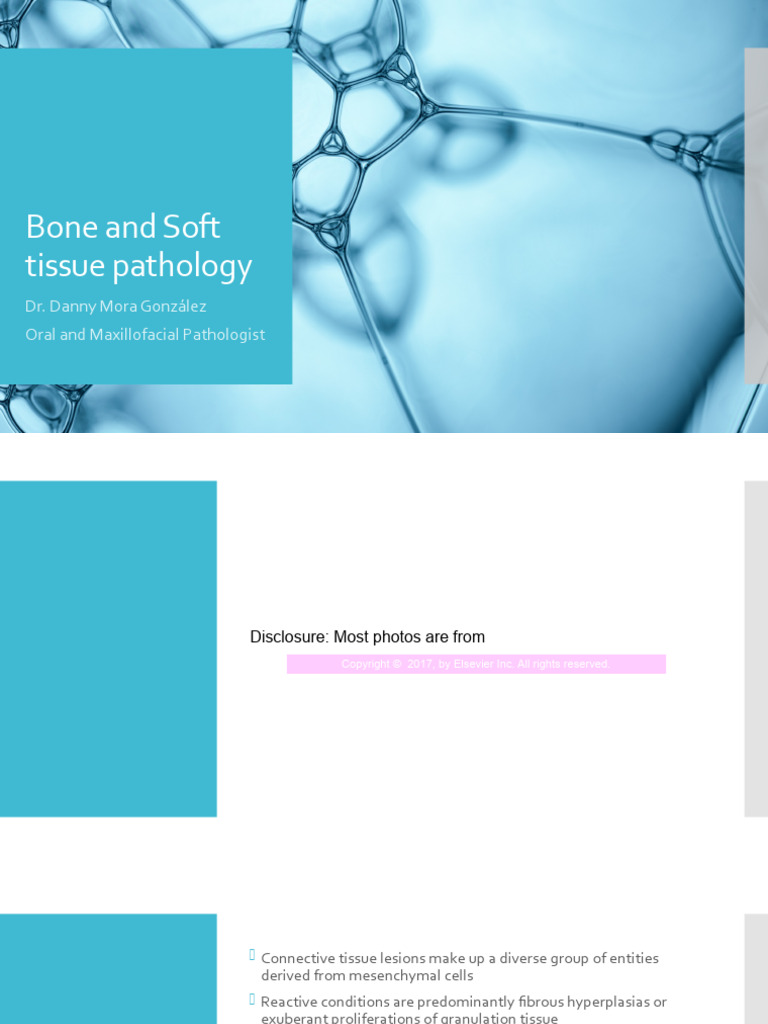 Bone and Soft Tissue Pathology | PDF | Bone | Pathology