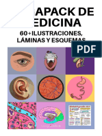 Mega Pack de Medicina Ilustraciones Laminas y Esquemas
