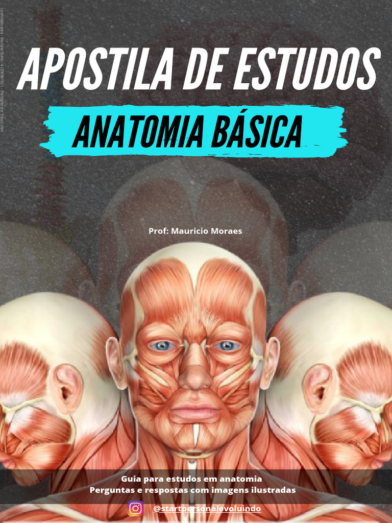 Apostila de Estudos Anatomia Basica 2 | Download grátis PDF | Músculo ...