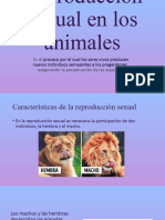La Reproducción Sexual en Los Animales