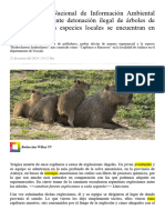 Once Capibaras Muertos A Causa de Explosiones Ilegales (Palabras Clave)