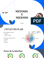 MITOSIS