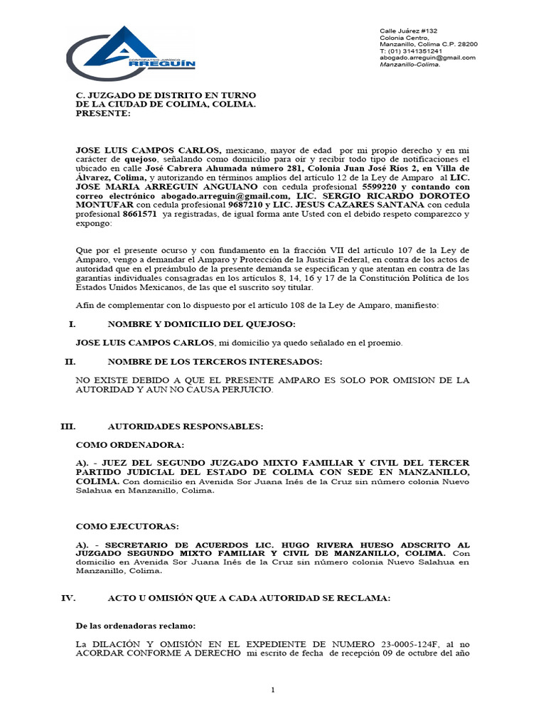 Demanda de Amparo por Dilación Judicial | PDF | Ley procesal | Caso de ley
