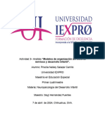 Análisis “Modelos de organización del sistema nervioso y desarrollo infantil”.