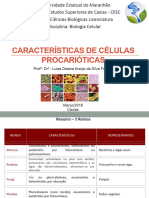 Aula - Células Procariontas e Eucariontes