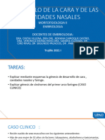 SEMANA 6 - CASO CLÍNICO EMBRIOLOGÍA Desarrollo de La Cara y Las Cavidades Nasales