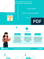 Inducción Práctica de Laboratorio PCM I 2024 I