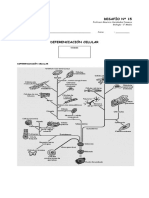 1°-Desafío-15-Diferenciación-celular