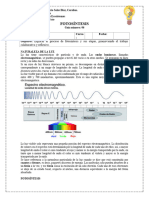 Guía N°6 Fotosíntesis