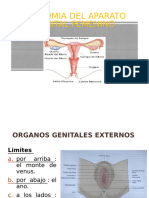 Anatomia 2022