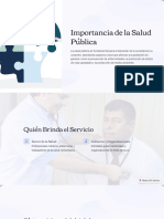 Importancia de La Salud PublicaPDF