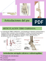 Articulaciones Del Pie