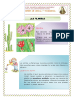 Las Plantas