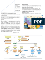 Tema 3 Civilización Islamica