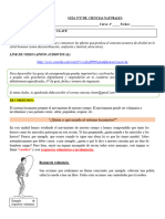 Ciencias - Guía Evaluada Alcohol 5°