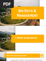 Big Data Management