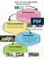 Infografia Grafico Proceso Pasos Orden Doodle Multicolor