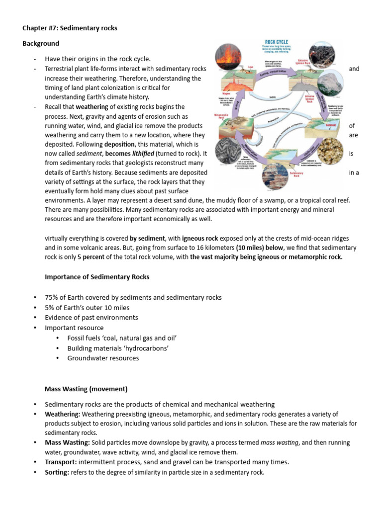 Understanding Sedimentary Rocks | PDF | Sedimentary Rock | Fault (Geology)