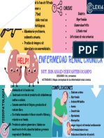 Mapa Conceptual Enfermedad Renal Cronica