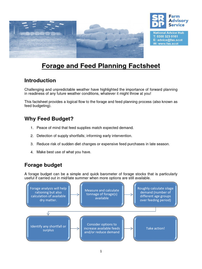 Forage and Feed Planning Guide | PDF | Cattle | Fodder