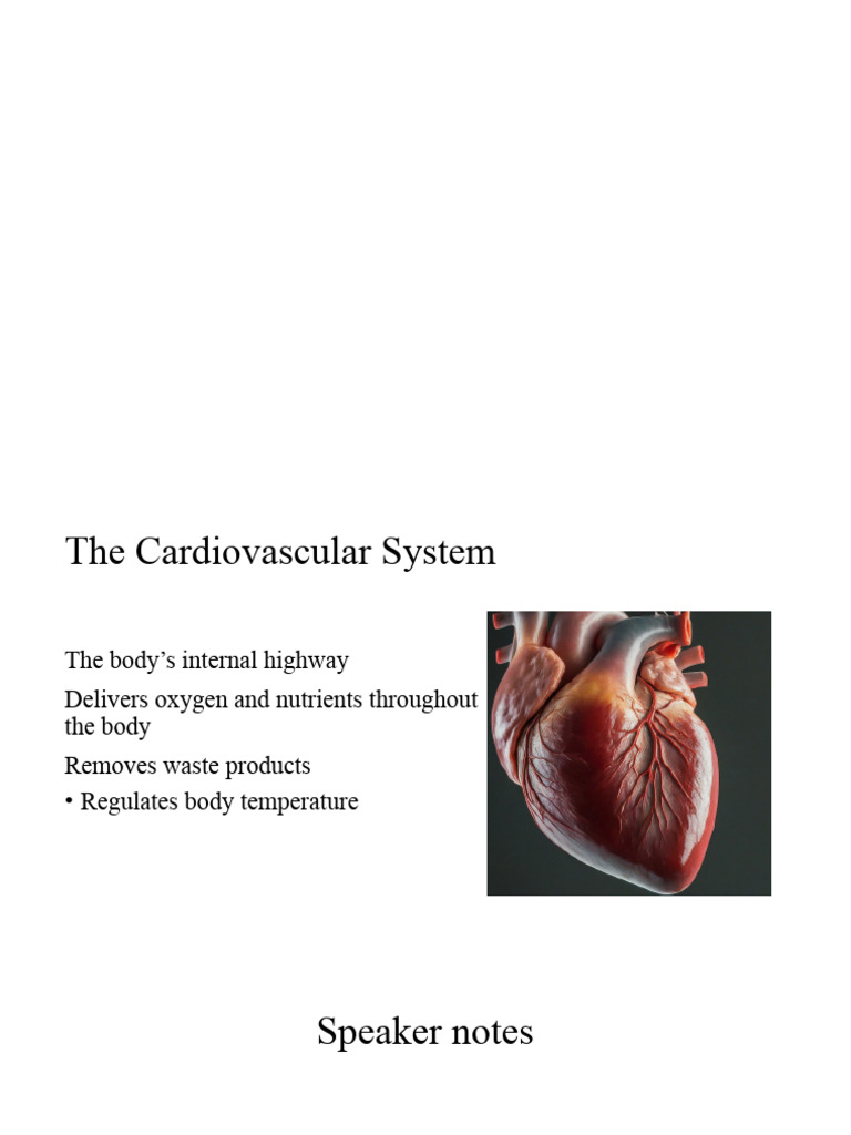 Cardiovascular System Overview | PDF | Blood Vessel | Heart