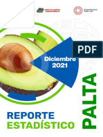 REPORTE ESTADÍSTICO PALTA 2021 DICIEMBRE