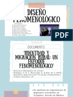 Diseño Fenomenologico-1