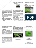 Teknologi Budidaya Selada Didalam Pot