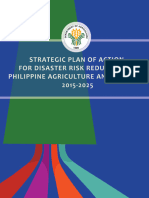 DA Strategic Plan For DRR