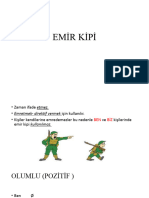 Emir Kipi