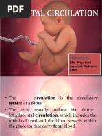 Fetal Circulation Flow Chart | PDF
