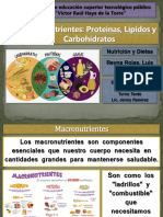 2 BÚSQUEDA BIBLIOGRÁFICA - Macronutrientes. Proteínas, Lípidos y Carbohidratos