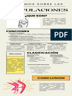 Infografía Articulaciones Marco Metelin