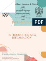 Equipo1_Patologia INFLAMACION