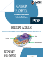 Aula 03 - Membrana Plasmática 2024-1