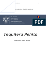 Proyecto Tecnico Gestion Ambiental