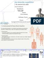 Investigación Del Sisitema Muscular Esquelético - 20240403 - 020859 - 0000