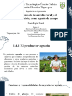 1.4 Actores Del Desarrolo Rural y El Profesionalismo, Como Agente de Cambio