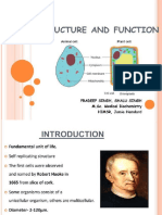 STRUCTURE OF CELL